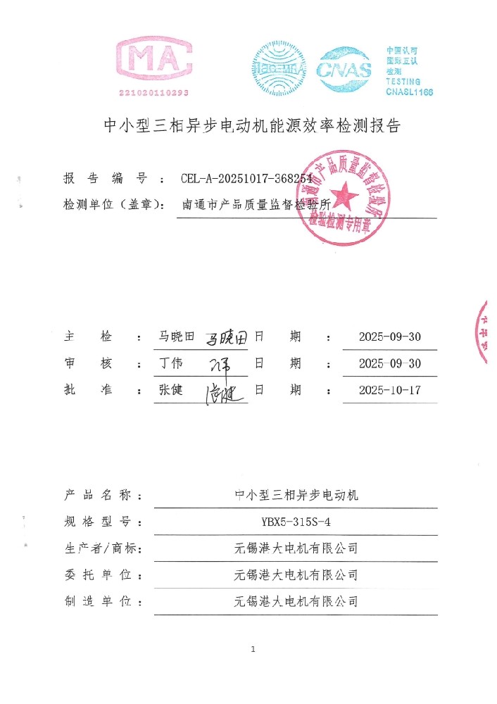 YBX5 315S-4 检测报告